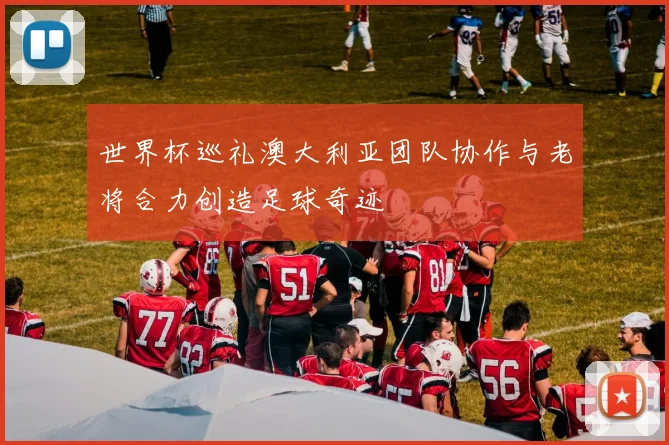 世界杯巡礼澳大利亚团队协作与老将合力创造足球奇迹