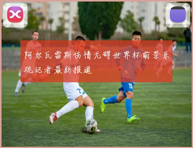 阿尔瓦雷斯伤情无碍世界杯前景乐观记者最新报道