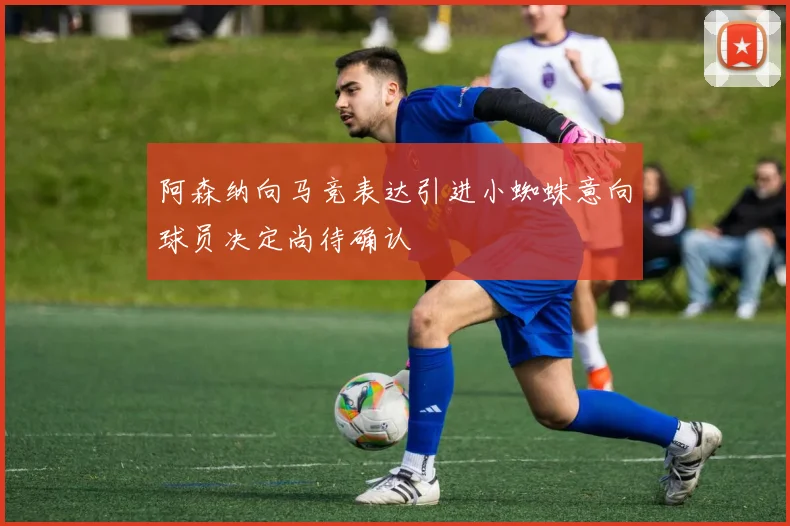 阿森纳向马竞表达引进小蜘蛛意向球员决定尚待确认